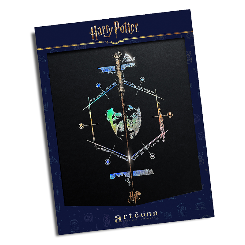Harry Potter Artprint Arteonn Le Portrait Letterpress 30X40cm