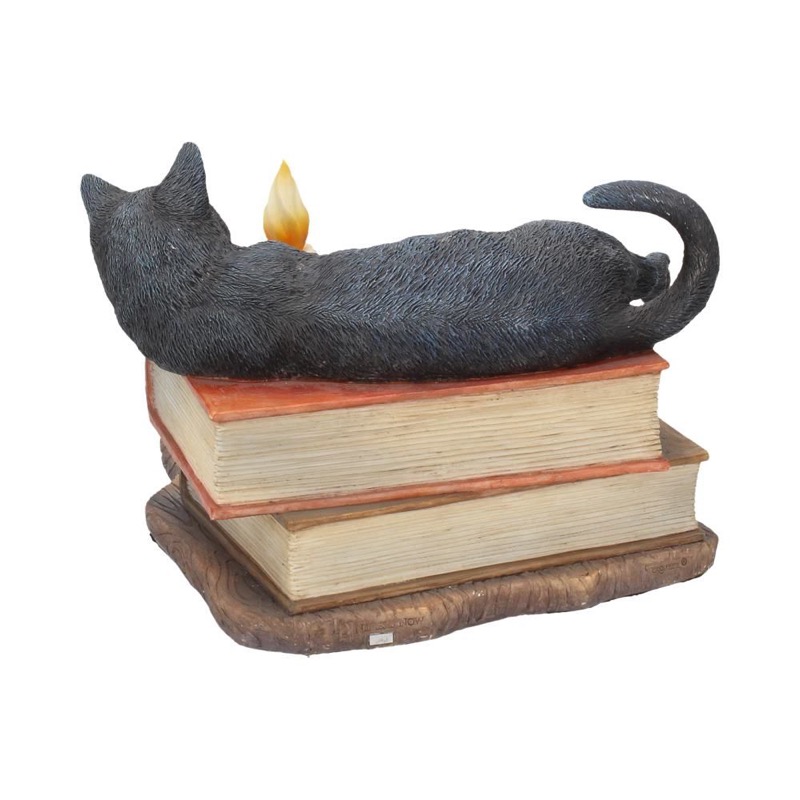 Nemesis Now Statue The Witching Hour 20,5Cm