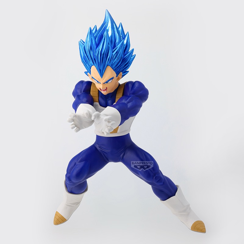 DBZ Blood Of Saiyans-Super Saiyan God Super Saiyan Evolved Vegeta 19cm W147
