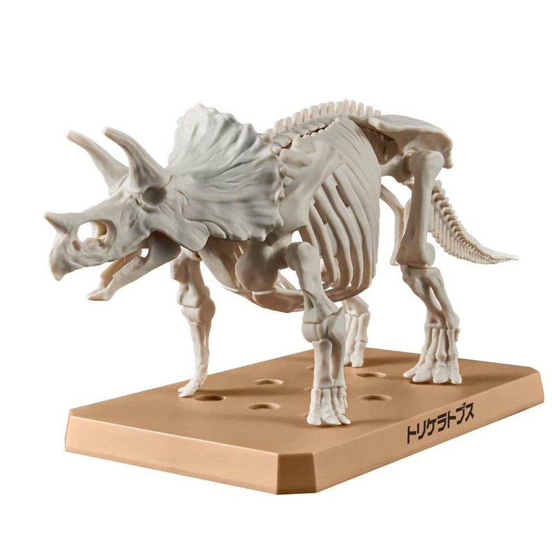 Dinosaure Plastic Model Kit Brand Triceratops 