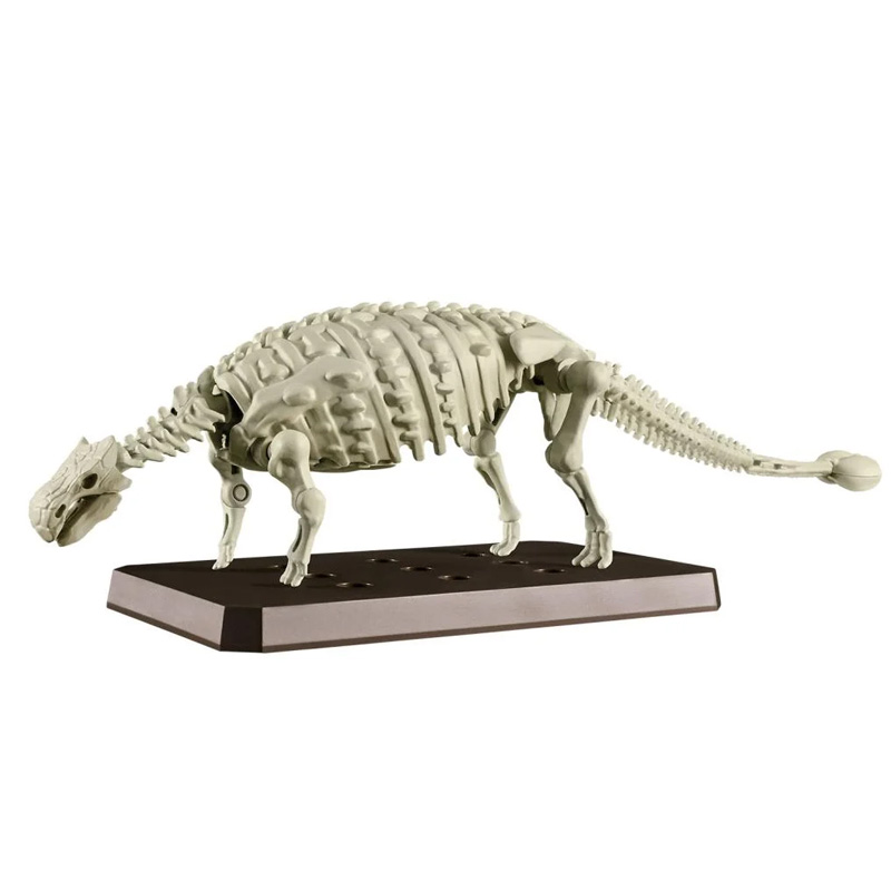 Dinosaure Plastic Model Kit Plannosaurus Ankylosaurus