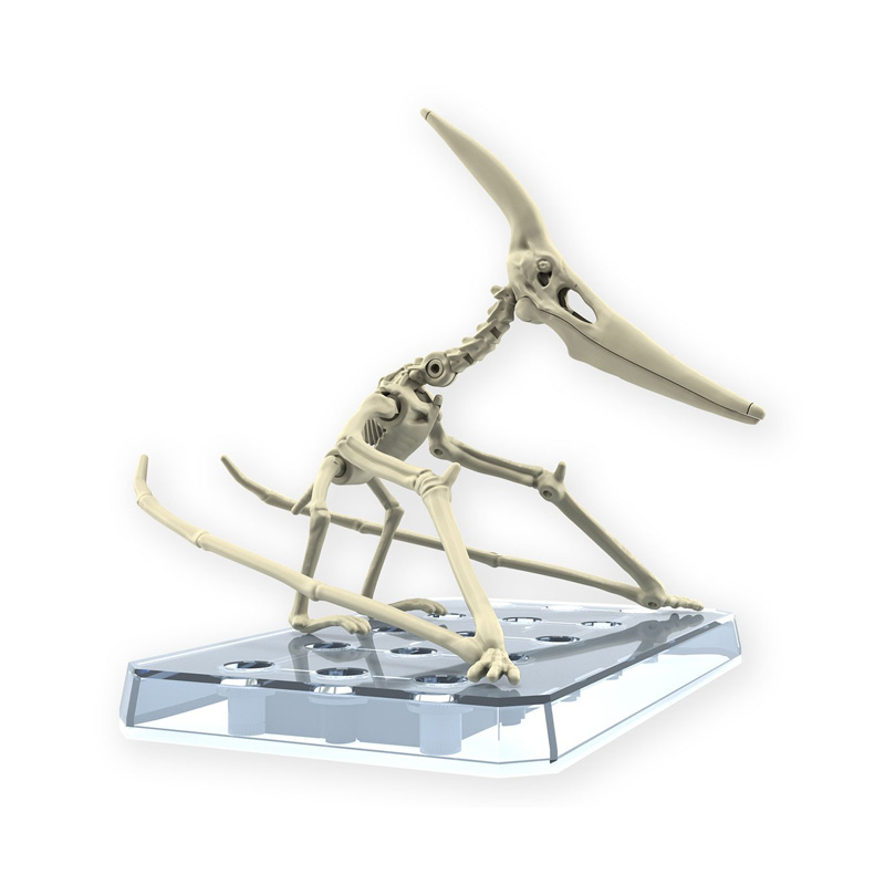 Dinosaure Plastic Model Kit Plannosaurus Pteranodon