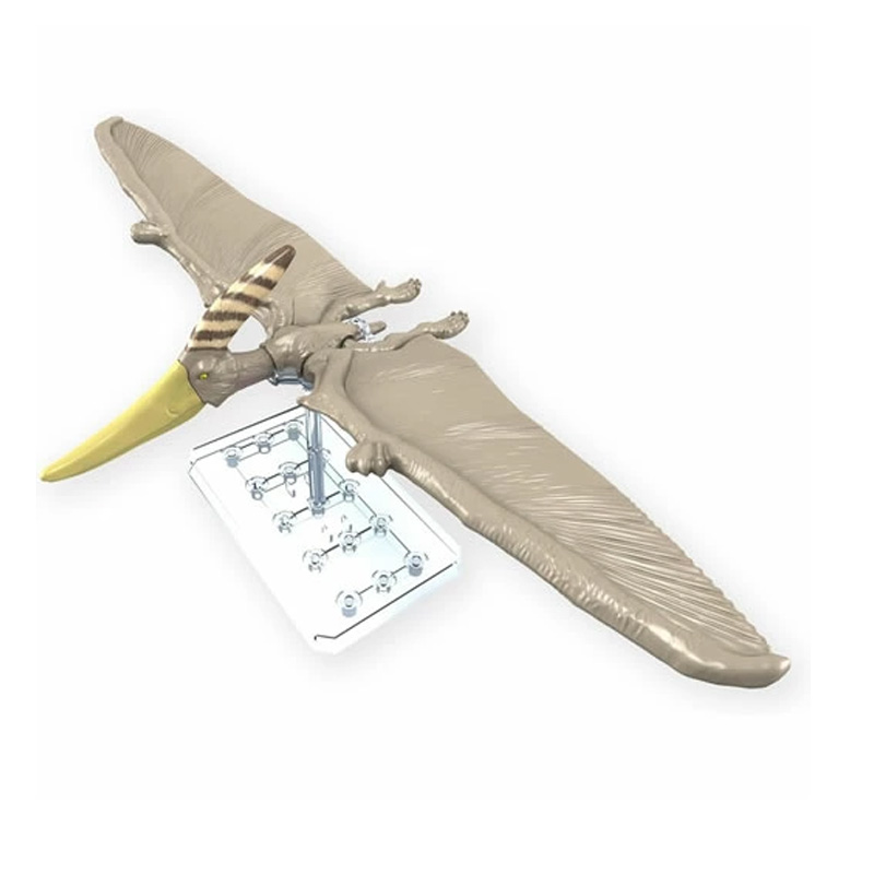 Dinosaure Plastic Model Kit Plannosaurus Pteranodon