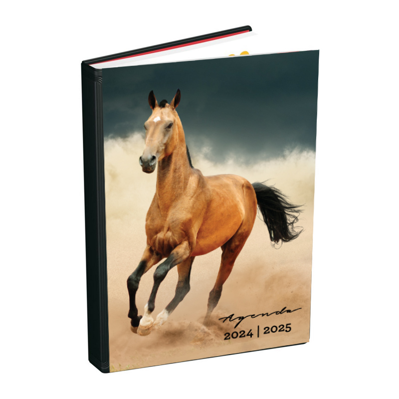 Agenda 2024-2025 320 Pages Cheval 12X18cm