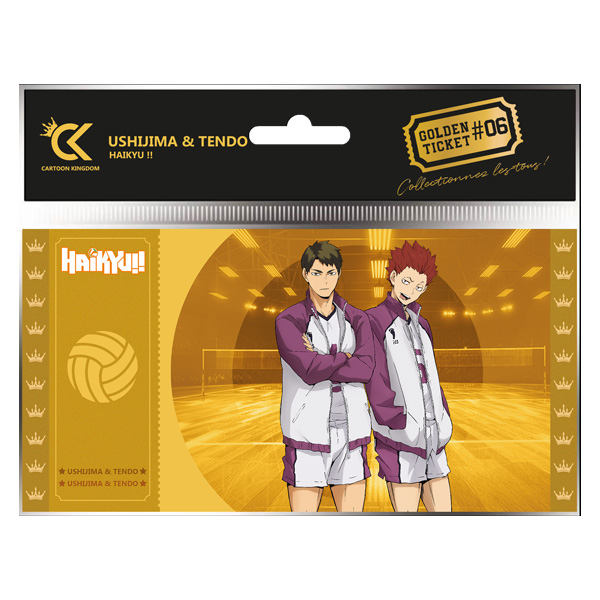 Haikyu!! Golden Ticket Col01 Ushijima & Tendo Lot X10