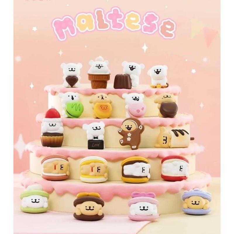 Maltese Mystery Box Mini Sweet Box Puppy Face Asst 6pcs
