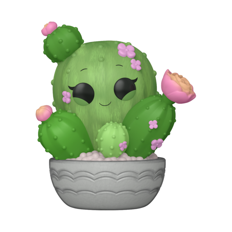 Plants Pop Home Kawaii Cactus