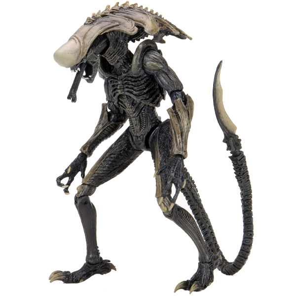 Alien VS Predator Chrysalis Alien 18cm
