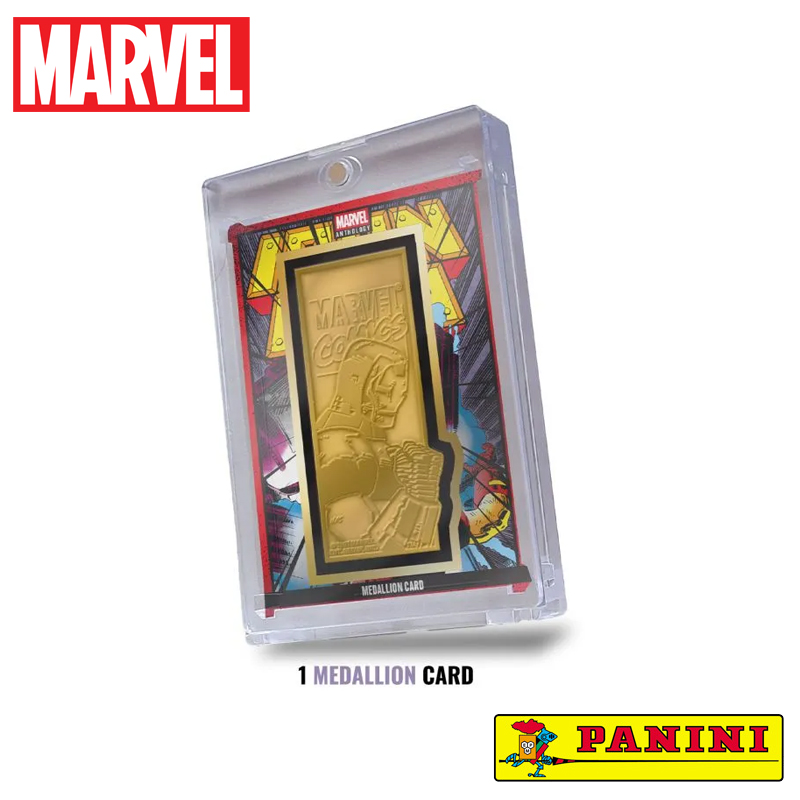 Marvel Panini Anthology TC Treasure Box