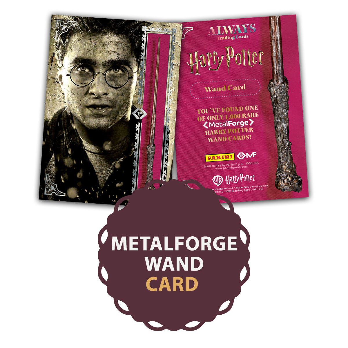 Harry Potter Always TC Premium Treasure Box
