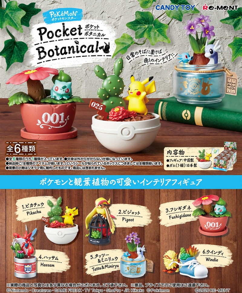 Pokemon Pocket Botanical Boite de 6pcs