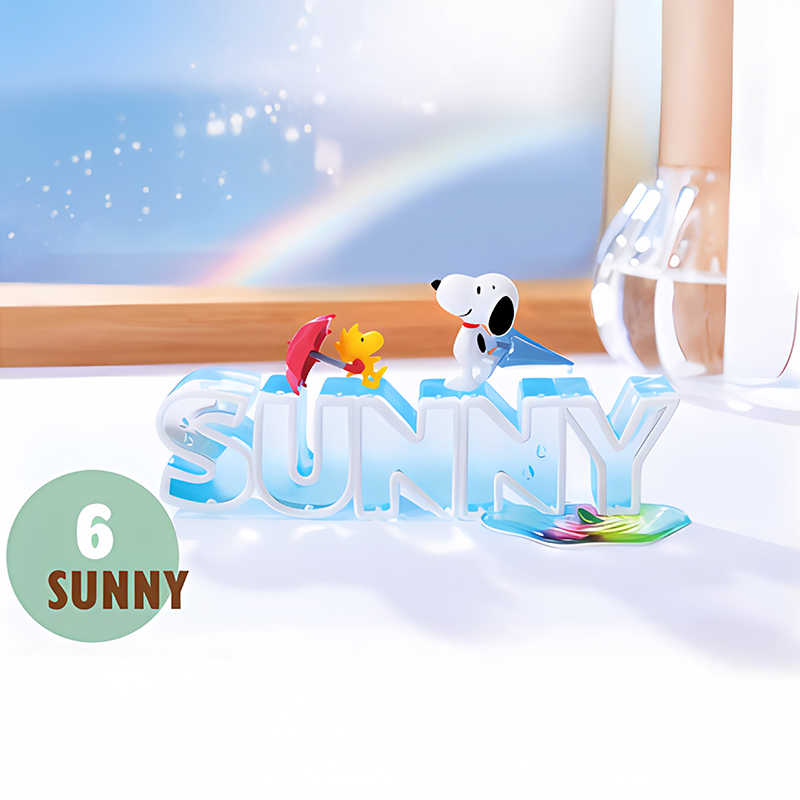 Snoopy Rement Collection Of Words Vol 3 Asst 6pcs