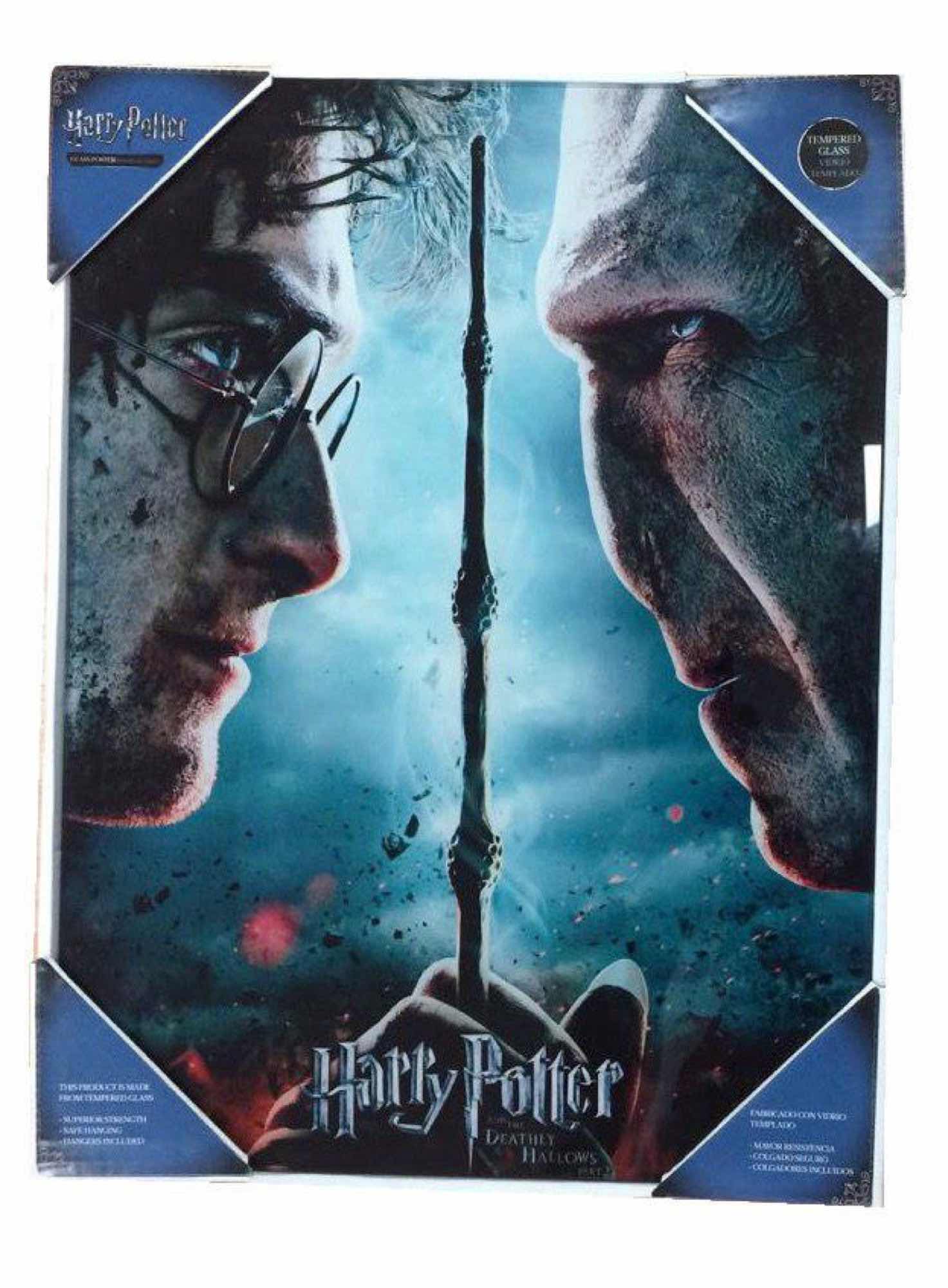 Harry Potter Poster En Verre Harry VS Voldemort 30X40cm