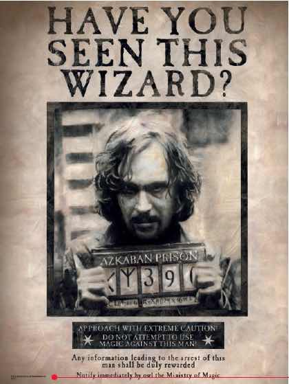 Harry Potter Poster En Verre Have You Seen This Wizard Sirius 30X40
