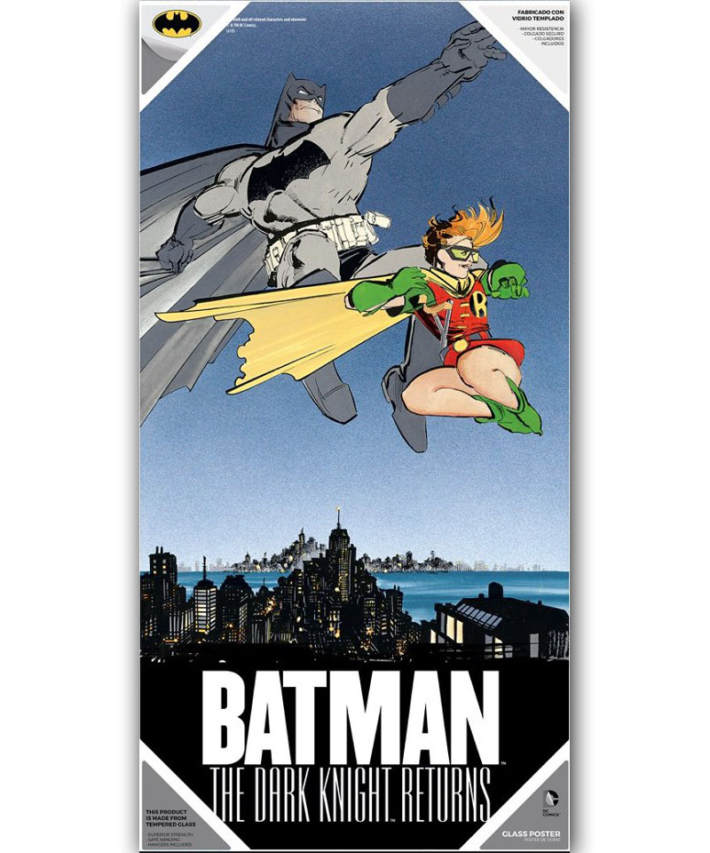 DC Universe Poster En Verre 30X60 Dark Knight Returns Batman &Robin