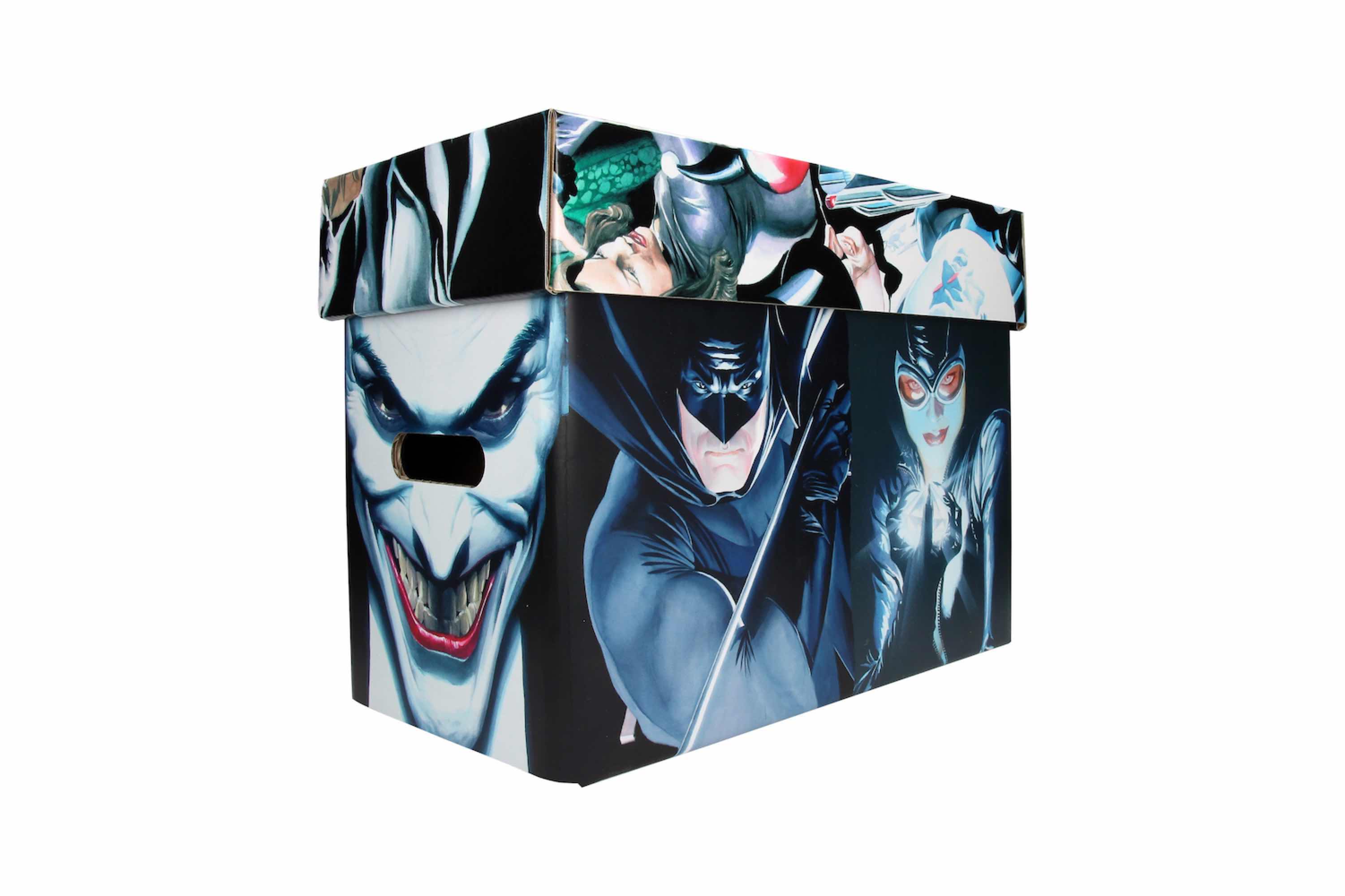 DC Universe Collector Box Batman Alex Ross