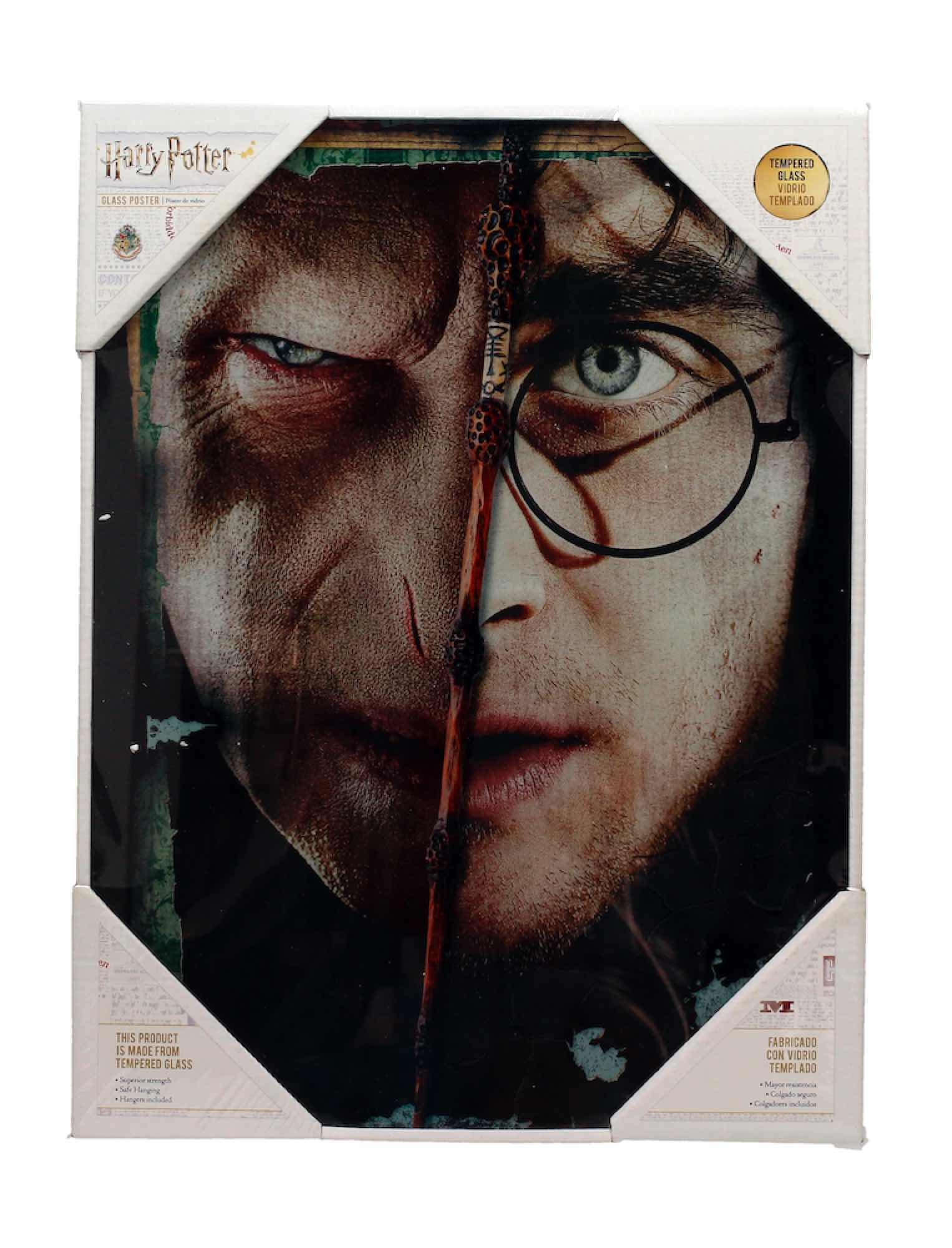 Harry Potter Poster En Verre Voldarry 30X40