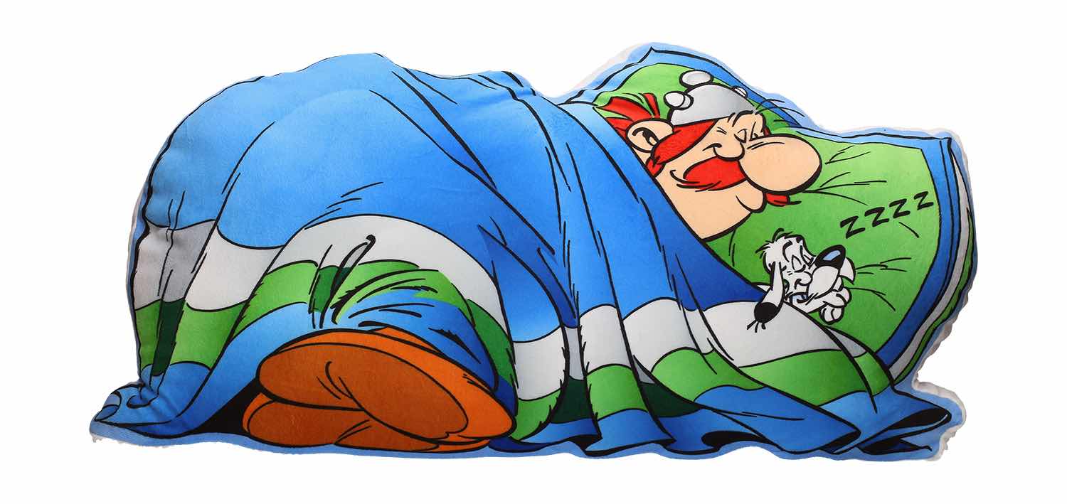 Asterix Coussin Obelix