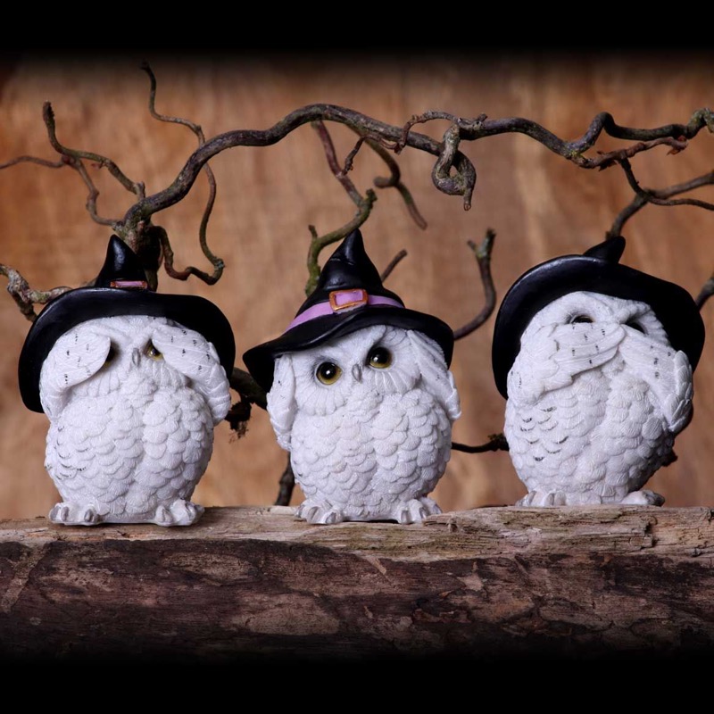 Three Wise Feathered Familiars 9Cm