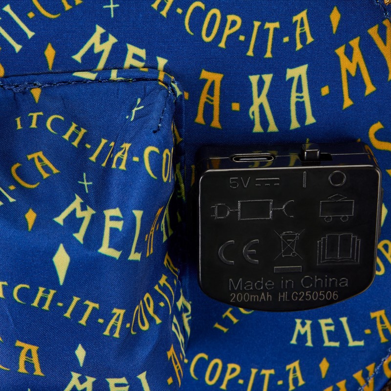 Disney Loungefly Sac A Main Hocus Pocus Sanderson Sisters Flying Dome